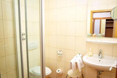 a bathroom with a shower and a toilet and a sink at Hotel Gut Schwaige in Ebenhausen