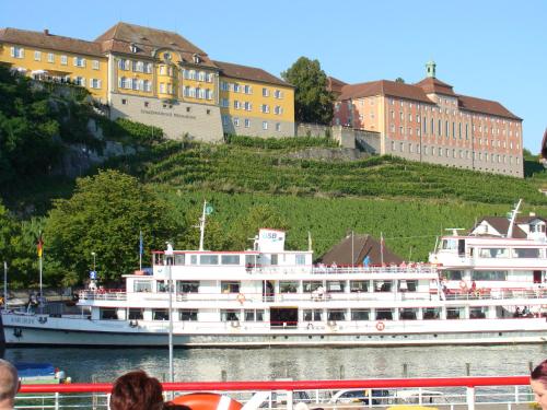 a boat in a river with buildings in the background at Haus Meersburg Garten in Meersburg