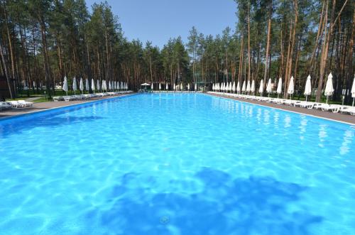 a large swimming pool with trees in the background at Sobi Hotel in Vyshhorod