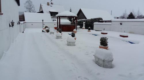a yard covered in snow with potted plants at Pension Šejko in Horní Planá