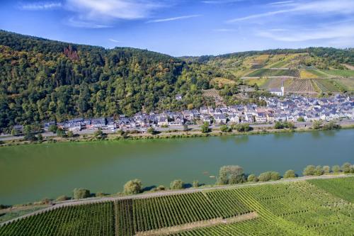 an aerial view of a town next to a lake at Weingut Pension Gibbert-Pohl in Briedel