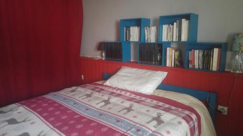 - une chambre avec un lit et des étagères bleues avec des livres dans l'établissement Chambre de Babouchka, à Rennes