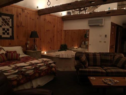 Mount Joy的住宿－HIllside Farm B & B，一间卧室配有一张床、一张沙发和一个浴缸