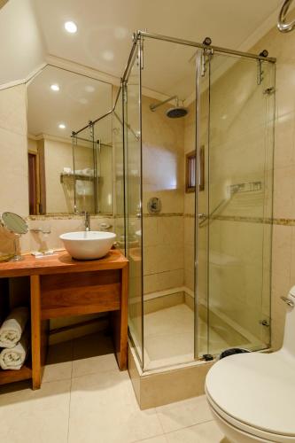 a bathroom with a glass shower and a sink at Huilo Huilo Nothofagus Hotel & Spa in Huilo Huilo