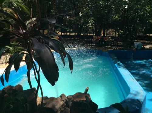 uma pessoa a nadar numa piscina em Arboleda em Jardín América