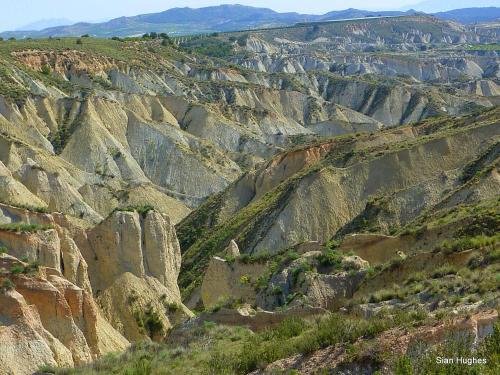 Gallery image of Camping Sierra Espuña in El Berro