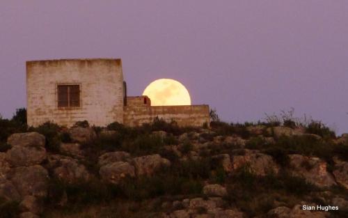 Gallery image of Camping Sierra Espuña in El Berro