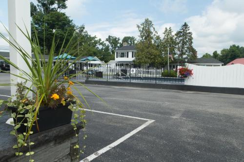 a small garden with flowers growing on the side of the road at Knotty Pine Motel in Bennington