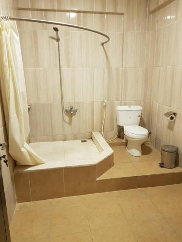 a bathroom with a shower and a toilet at Tahir Guest Palace in Kano