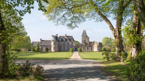 帕里涅的住宿－Château du Bois-Guy Golf，一座古老的城堡,有一条绿树成荫的车道