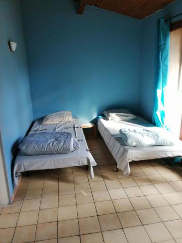 - 2 lits dans une chambre avec un mur bleu dans l'établissement Appartement proche du parc des expositions avignon, à Avignon