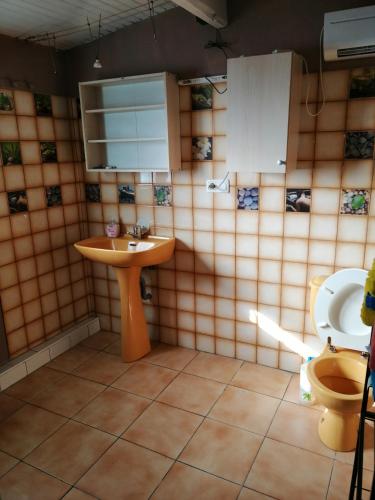 une salle de bain avec un lavabo et des toilettes dans l'établissement Appartement proche du parc des expositions avignon, à Avignon