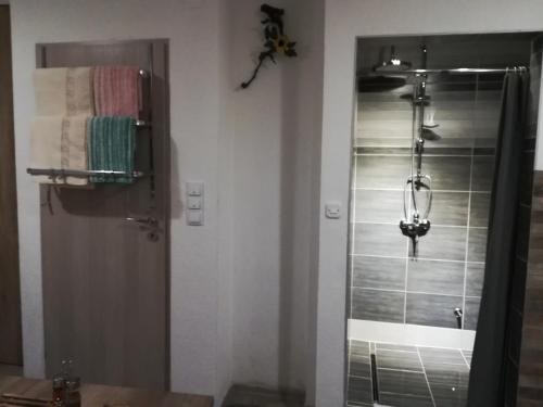 a bathroom with a shower with a glass door at Apartment New Days in Sarajevo