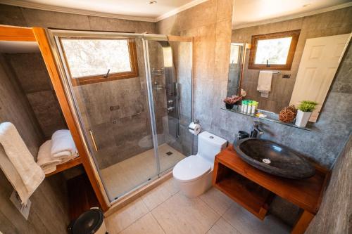 a bathroom with a shower and a toilet and a sink at Cajón del Maipo Lodge in San José de Maipo
