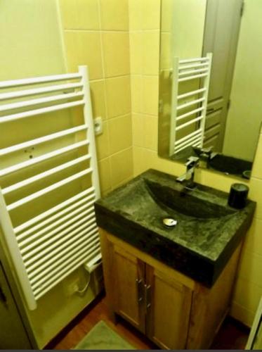 une salle de bain avec un lavabo et un miroir dans l'établissement Les terrasses d azur, à Isola 2000