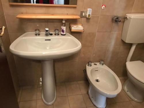 a bathroom with a sink and a toilet at Il Capriolo in Piazzatorre
