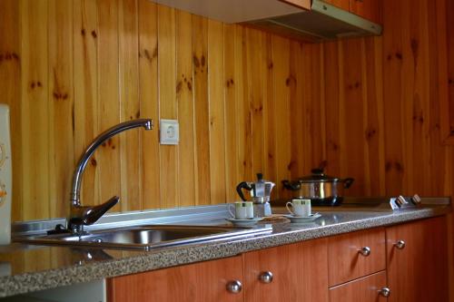 a kitchen with a sink and wooden walls at Camping Al-Bereka in La Alberca