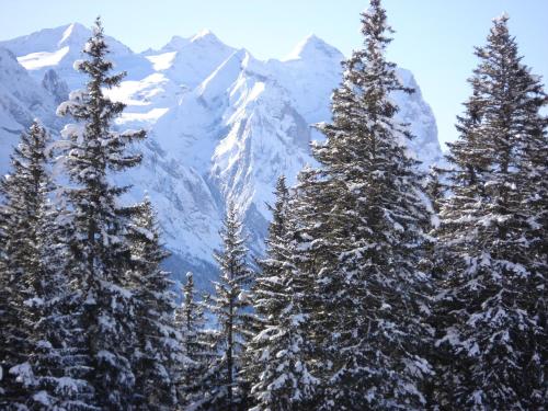 Paysage naturel près de l'appartement