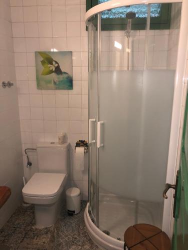 een badkamer met een toilet en een douche bij Main House “El Estanco 14” in Vega de San Mateo