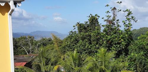 a view of a jungle with mountains in the background at La créola BAYALOCATION in Rivière-Pilote