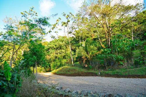 a dirt road in the middle of a forest at Aves de Tierras Altas in Bijagua