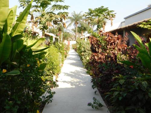 a path through a garden with plants and trees at CAP BAY in Cap Skirring
