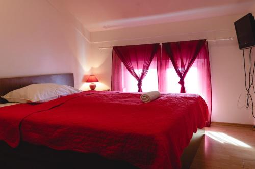 Hostel Plus – Photos 2