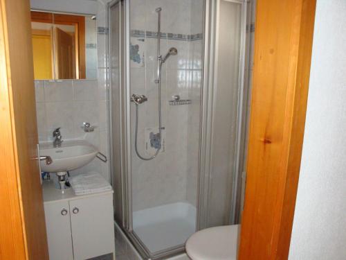 une salle de bain avec douche et lavabo dans l'établissement Ferienwohnung & Studio Schaad, à Hasliberg Wasserwendi