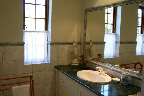 a bathroom with a sink and a mirror at Appleby Guesthouse in Cape Town