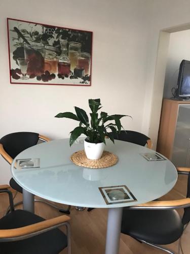 una mesa blanca con una planta encima en Messewohnung Düsseldorf-Nord, en Düsseldorf