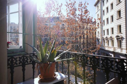 Hostal Eixample photo 36