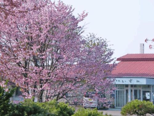 Zahrada ubytování Hotel Izumi