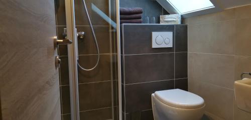 a bathroom with a shower with a toilet and a sink at Gästehaus Behabühl in Feldberg