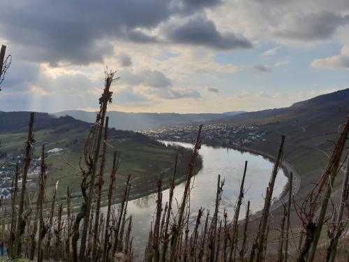 a view from the top of a hill with a river at Gästehaus Steuer in Kröv