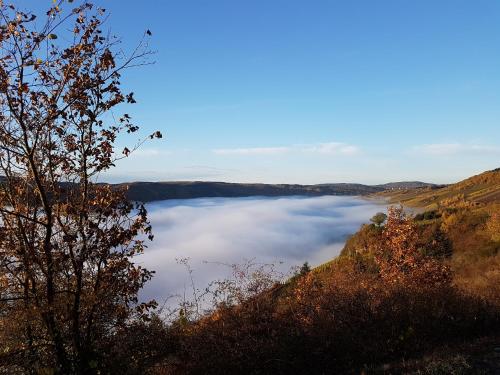 a view of a lake with clouds in the water at Gästehaus Steuer in Kröv