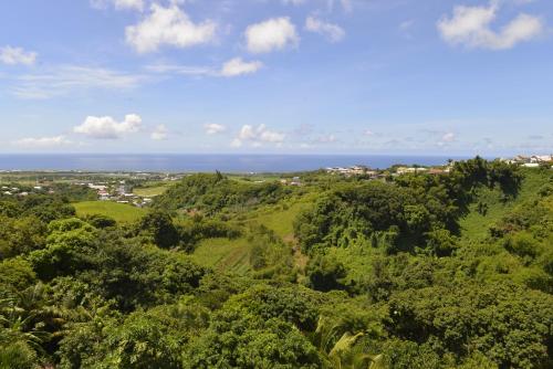 a view of the ocean from a hill with trees at Villa Des Remparts in Sainte-Marie