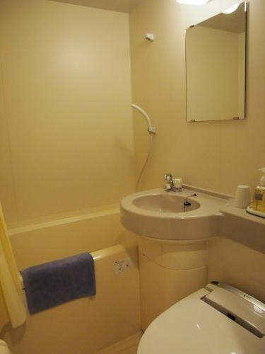 a bathroom with a toilet and a sink and a mirror at Tashiro Annex in Yakushima