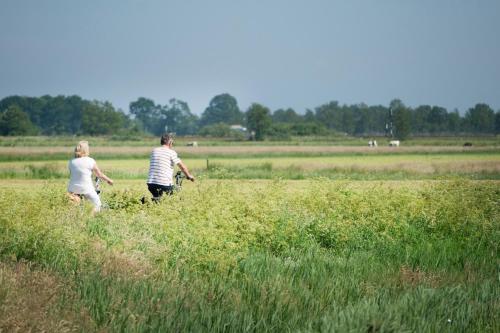 two people walking through a field of tall grass at Het Vogelhuisje in Twijzelerheide