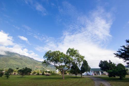 a tree in a field with a blue sky at 鄉村民宿&庭園民宿 in Ruisui
