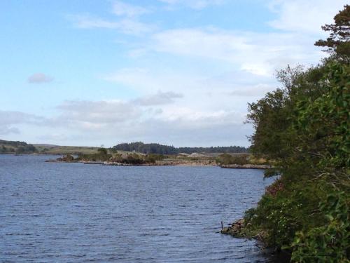 a view of a large body of water at Annie's River Retreat in Doochary
