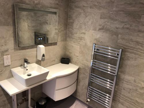 uma casa de banho com um lavatório e um espelho em Plum Pudding em Abingdon
