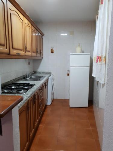 cocina con fogones y nevera blanca en Apartamento Ruta de las Nieves, en Capileira