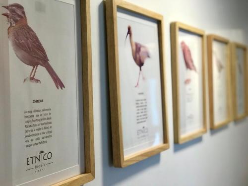 Fotografie z fotogalerie ubytování Etnico Bío Bío Hotel v destinaci Los Ángeles