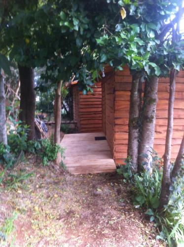 a wooden cabin with a porch in the woods at CABAÑAS ALTO BELLAVISTA NIEBLA in Niebla