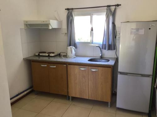 une petite cuisine avec un évier et un réfrigérateur dans l'établissement la casita de colonia 1, à Colonia del Sacramento