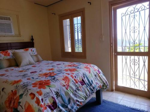 a bedroom with a bed with a floral comforter and two windows at Little Indigo Apartments in Mafolie