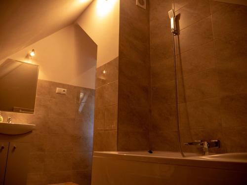 ein Bad mit einer Dusche und einem Waschbecken in der Unterkunft Ani Pensjonat in Borne Sulinowo