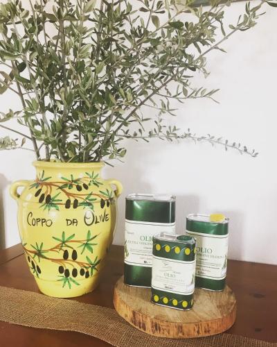 a table with a vase and three candles and a plant at Agriturismo Podere Rondinaio in Lamporecchio