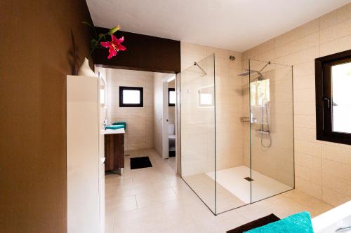 La salle de bains est pourvue d'une douche avec une porte en verre. dans l'établissement CASA LUJAN, à Tijarafe
