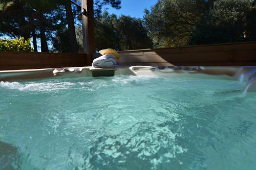 a hot tub with a teddy bear sitting in the water at Résidence hôtelière A TRAMA in Bonifacio